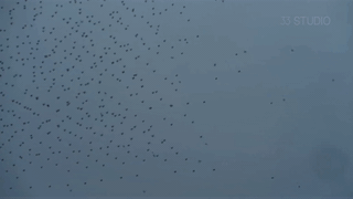 Communication denied scenario