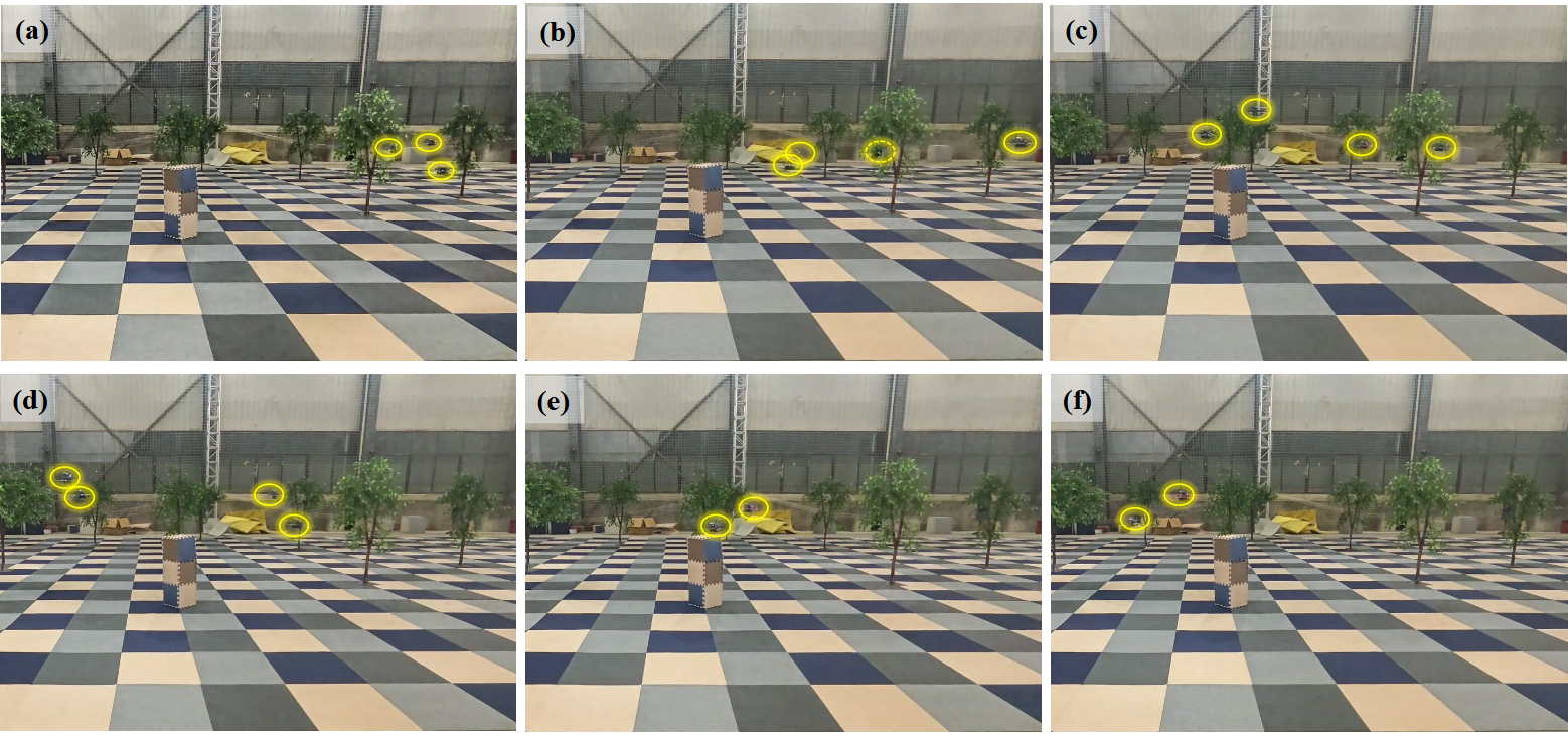 Real-world experiments